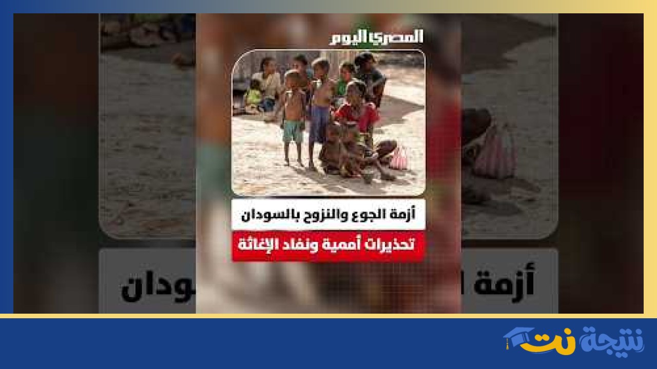 تعليم القاهرة تكشف تفاصيل تدافع أولياء الأمور